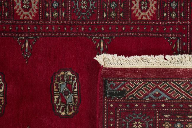 Pakistan Buchara 3ply - 1