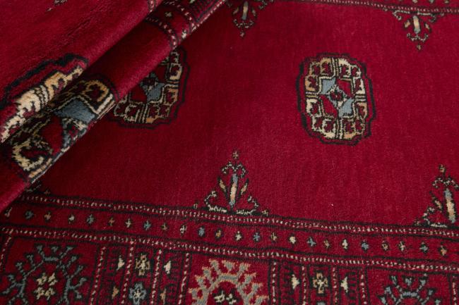 Pakistan Buchara 3ply - 2
