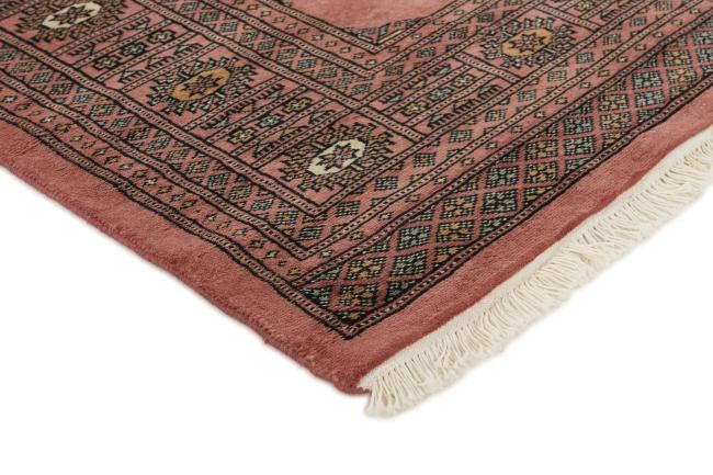 Pakistan Buchara 3ply - 3