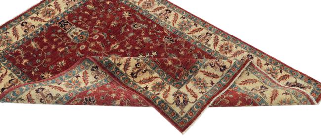 Ziegler Farahan - 5