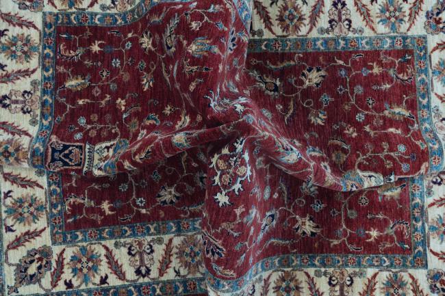 Ziegler Farahan - 7