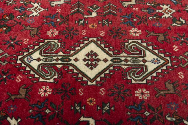 Shiraz - 5