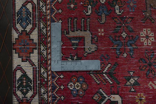 Shiraz - 9