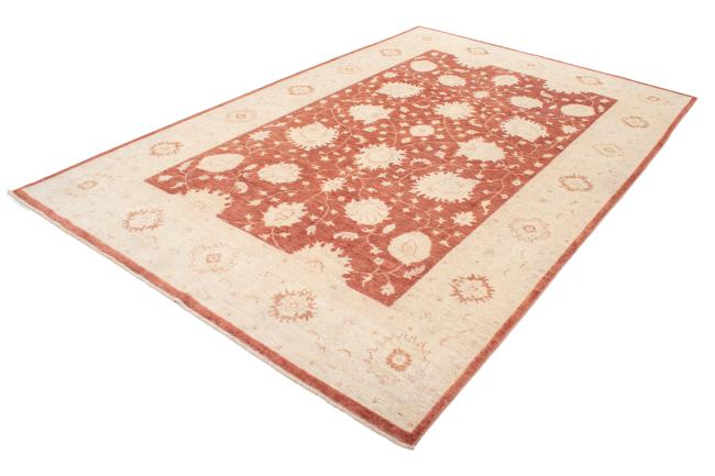 Ziegler Farahan - 2
