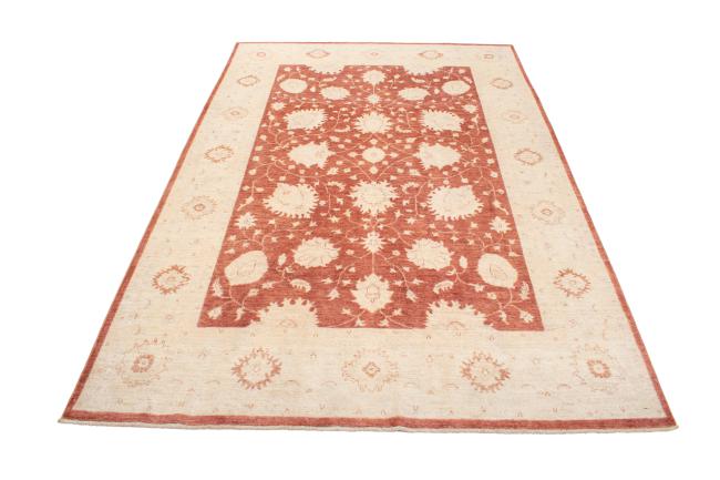 Ziegler Farahan - 3