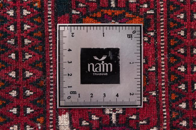Afghan Mauri - 7