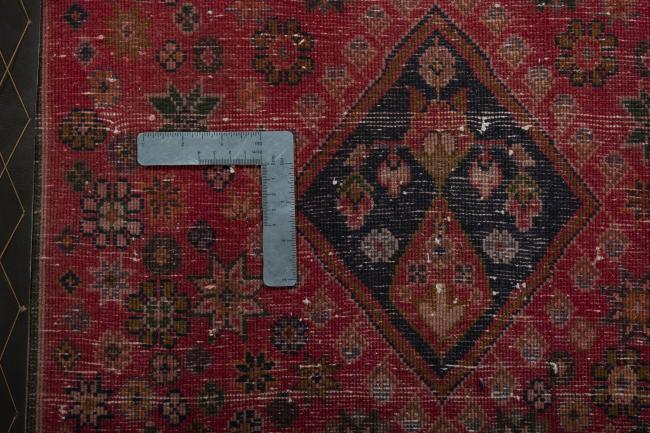 Shiraz - 4