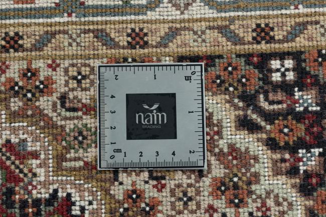 Indo Mir - 12