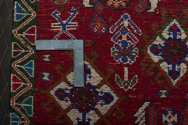 Shiraz - 4