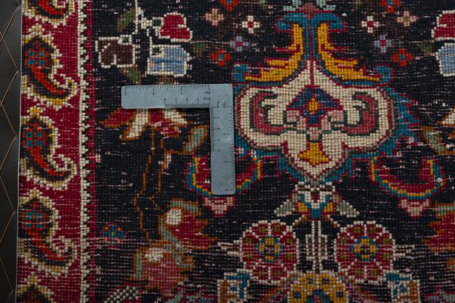 Shiraz - 4