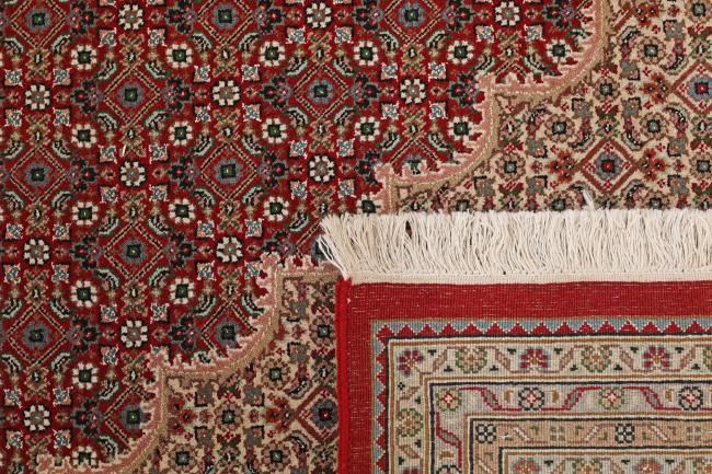 Tabriz Mahi - 7
