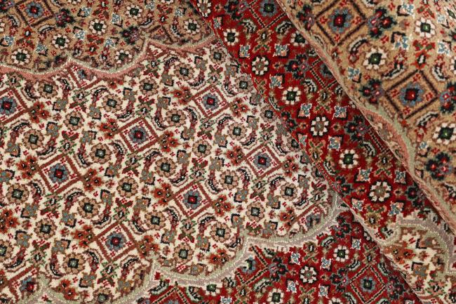 Tabriz Mahi - 8