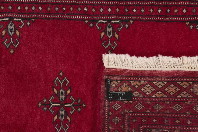 Pakistan Buchara 2ply - 1