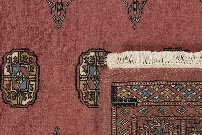 Pakistan Buchara 3ply - 1
