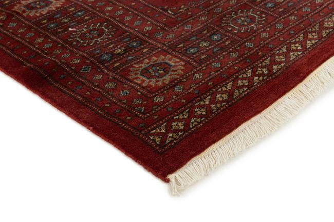 Pakistan Buchara 3ply - 3
