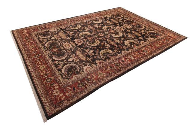 Ziegler Farahan - 2