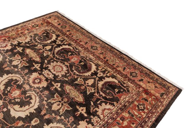 Ziegler Farahan - 3