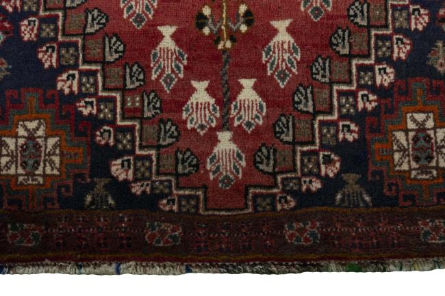 Shiraz - 6