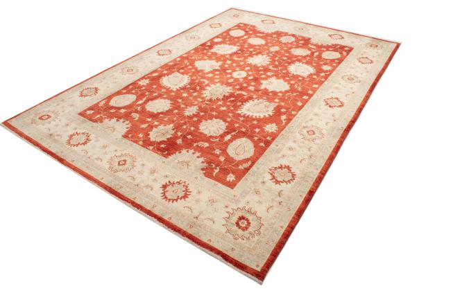 Ziegler Farahan - 3