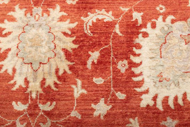 Ziegler Farahan - 5