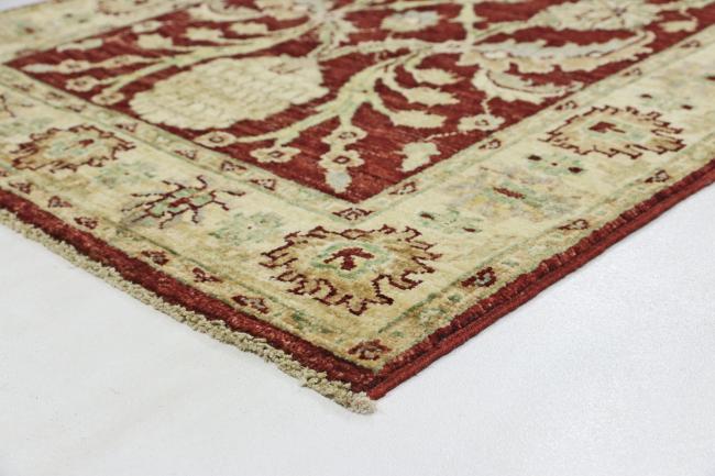Ziegler Farahan - 4