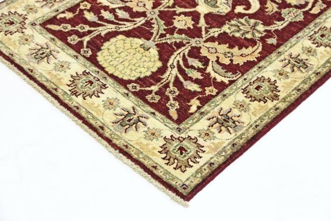 Ziegler Farahan - 3