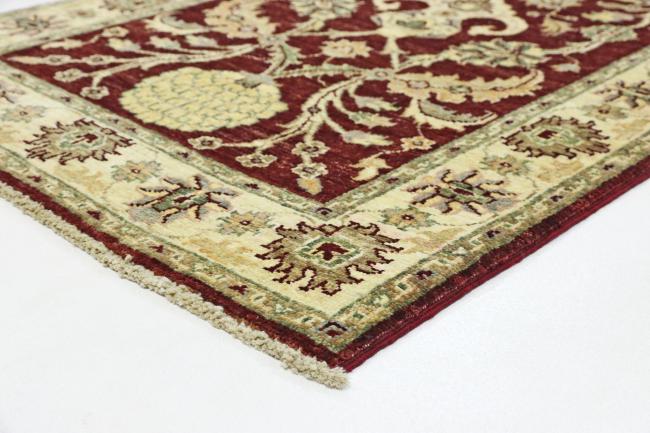 Ziegler Farahan - 4