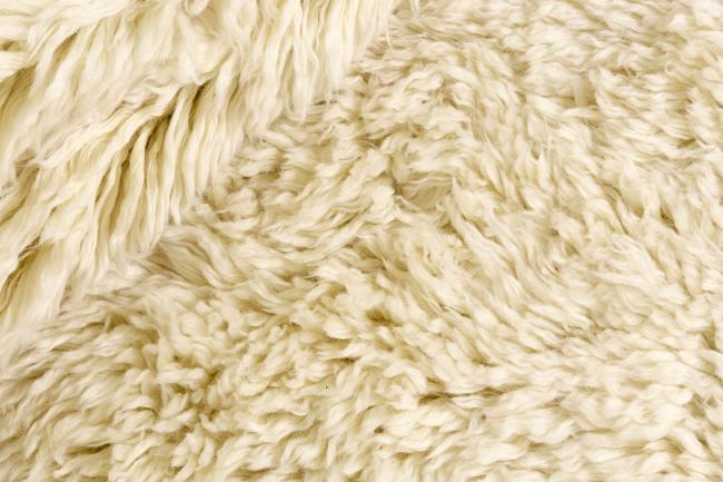 Berber Blanc - 1