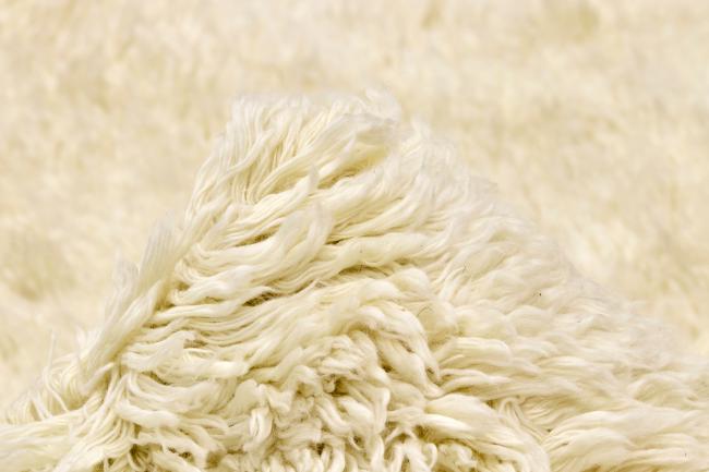 Berber Blanc - 3