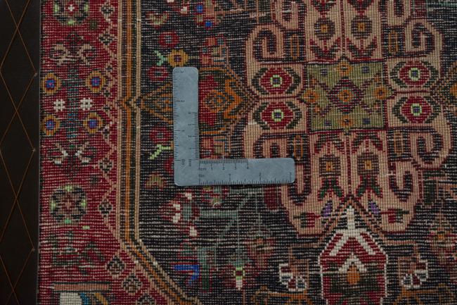 Shiraz - 4