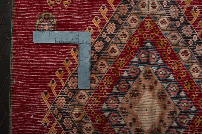 Shiraz - 4