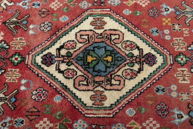 Shiraz - 5