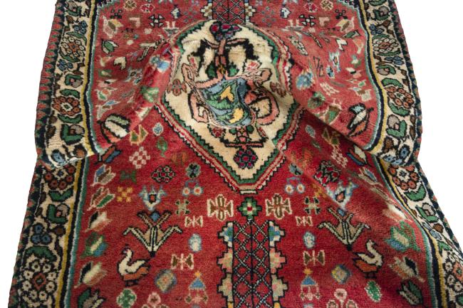 Shiraz - 9