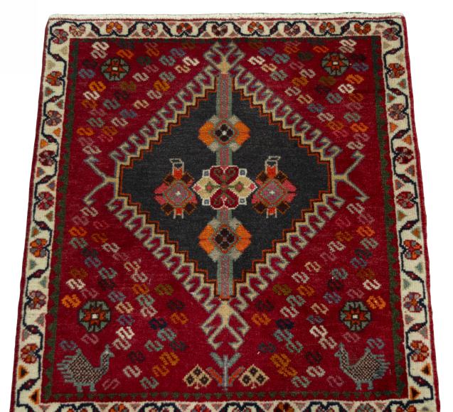 Shiraz - 3