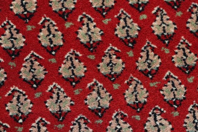 Bidjar Mir Corner - 5