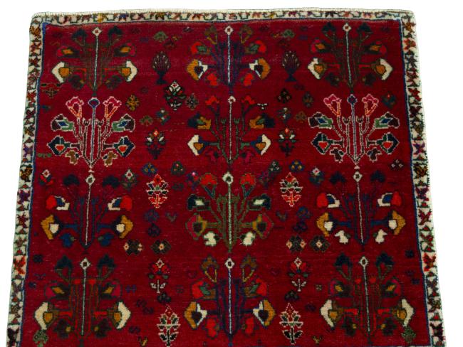 Shiraz - 3
