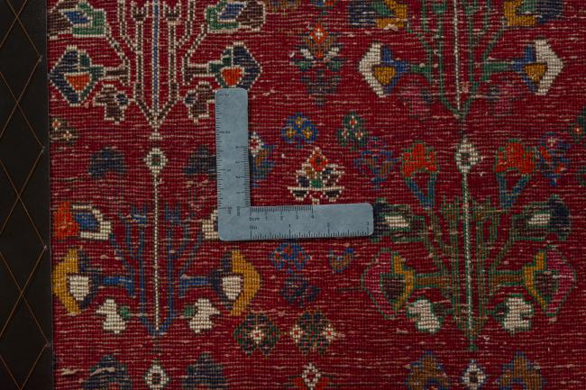 Shiraz - 4