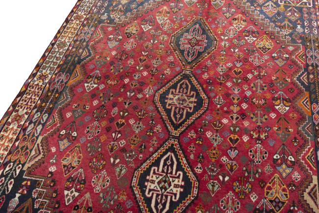 Shiraz - 4