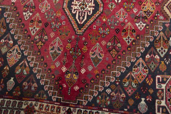 Shiraz - 5
