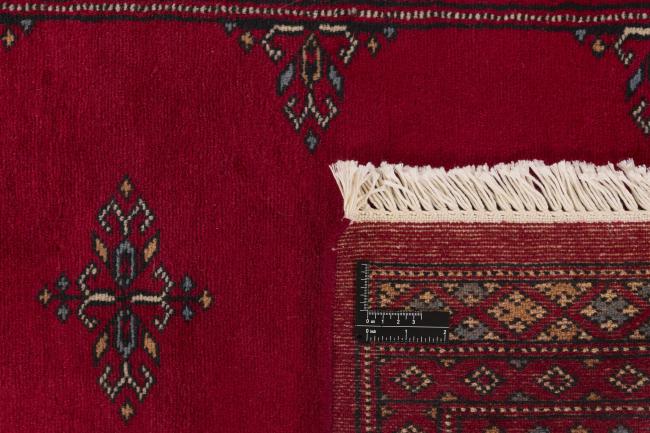 Pakistan Buchara 2ply - 1