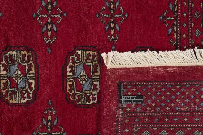 Pakistański Buchara 3ply - 1