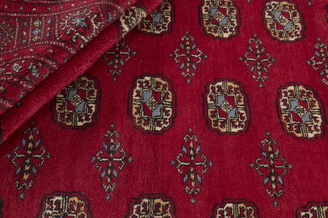 Pakistański Buchara 3ply - 2