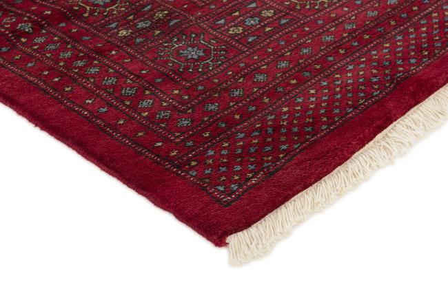 Pakistański Buchara 3ply - 3
