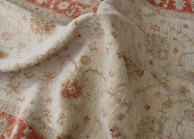 Ziegler Farahan - 11