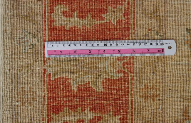 Ziegler Farahan - 12