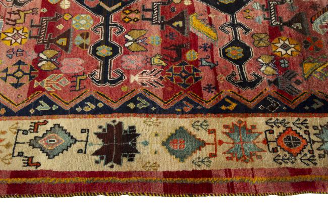 Shiraz - 6