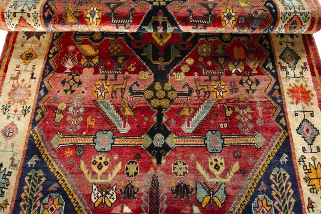 Shiraz - 7