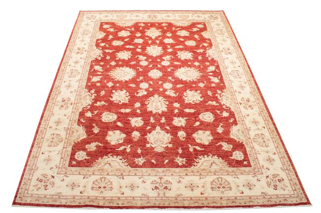 Ziegler Farahan - 4
