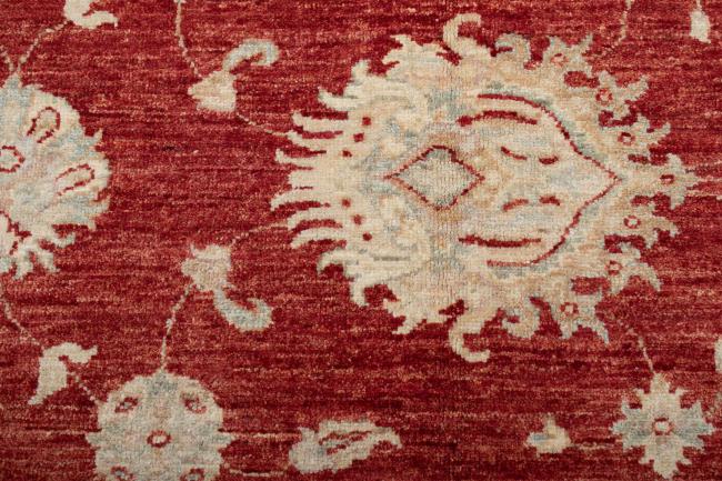 Ziegler Farahan - 6