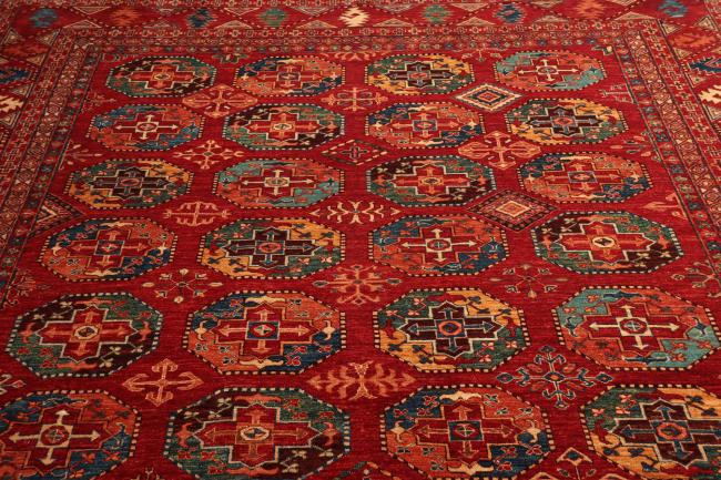 Arijana Ziegler Farahan - 7